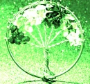TheGardenGreen