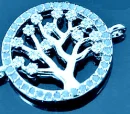 AnOliveTreeAqua