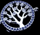 AnOliveTreeBlue