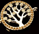 AnOliveTreeBronze