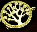 AnOliveTreePlatinum