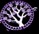 AnOliveTreePurple