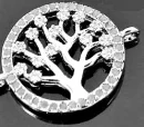 AnOliveTreeSilver
