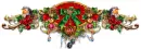 Christmas Divider