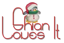 Little penguin - Shian