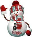 Gage