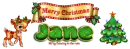 Merry Christmas - Jane