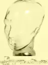 JazzmanPlatinum