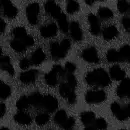 JungleLadyColorfulAnimalPrint