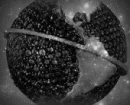 StarsAlignMarcasite