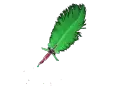 AlwaysAndreaGreenBlueRed
