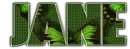 Butterfly text