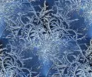 Winter Ice Branches