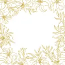 flowers frame