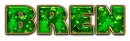 ST PATTY DAY BREN GOLD TEXT