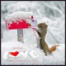 Valentine's Mail