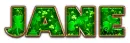 ST PATRICKS DAY JANE TEXT