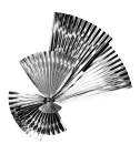 TrySomethingNewSilverFan
