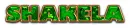 ST PATTY DAY SHAKELA GOLD TEXT