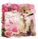 Happy Valentines Day/Connie
