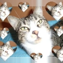 ÅŸlkjhg