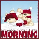 hope you have a wonderfull winter morning
