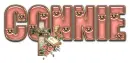 DUSTY ROSE  BIBLE CROSS CONNIE TEXT 