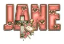 DUSTY ROSE  BIBLE CROSS JANE TEXT 