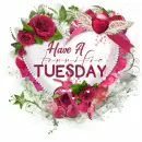 Have a terrific Tuesday