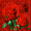 Red Roses