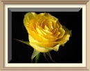 resim