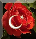 ayyÄ±ldÄ±z