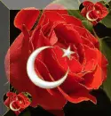ayyÄ±ldÄ±z