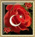 ayyÄ±ldÄ±z