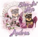 Andrea