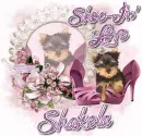 Shakela