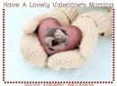 Have A Lovely Valentine's Morning 