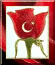 ayyÄ±ldÄ±z