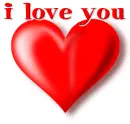 i love you 