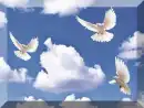 animals
