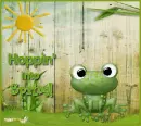 Spring Frog