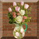 tulip