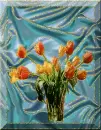 tulip