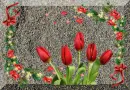 tulip