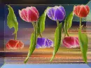 tulip