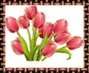 tulip