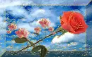 rose