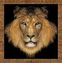 aslan