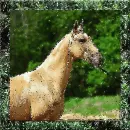 at