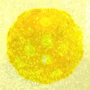 Discostarter